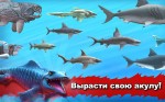 Hungry Shark Evolution