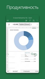 Microsoft Excel